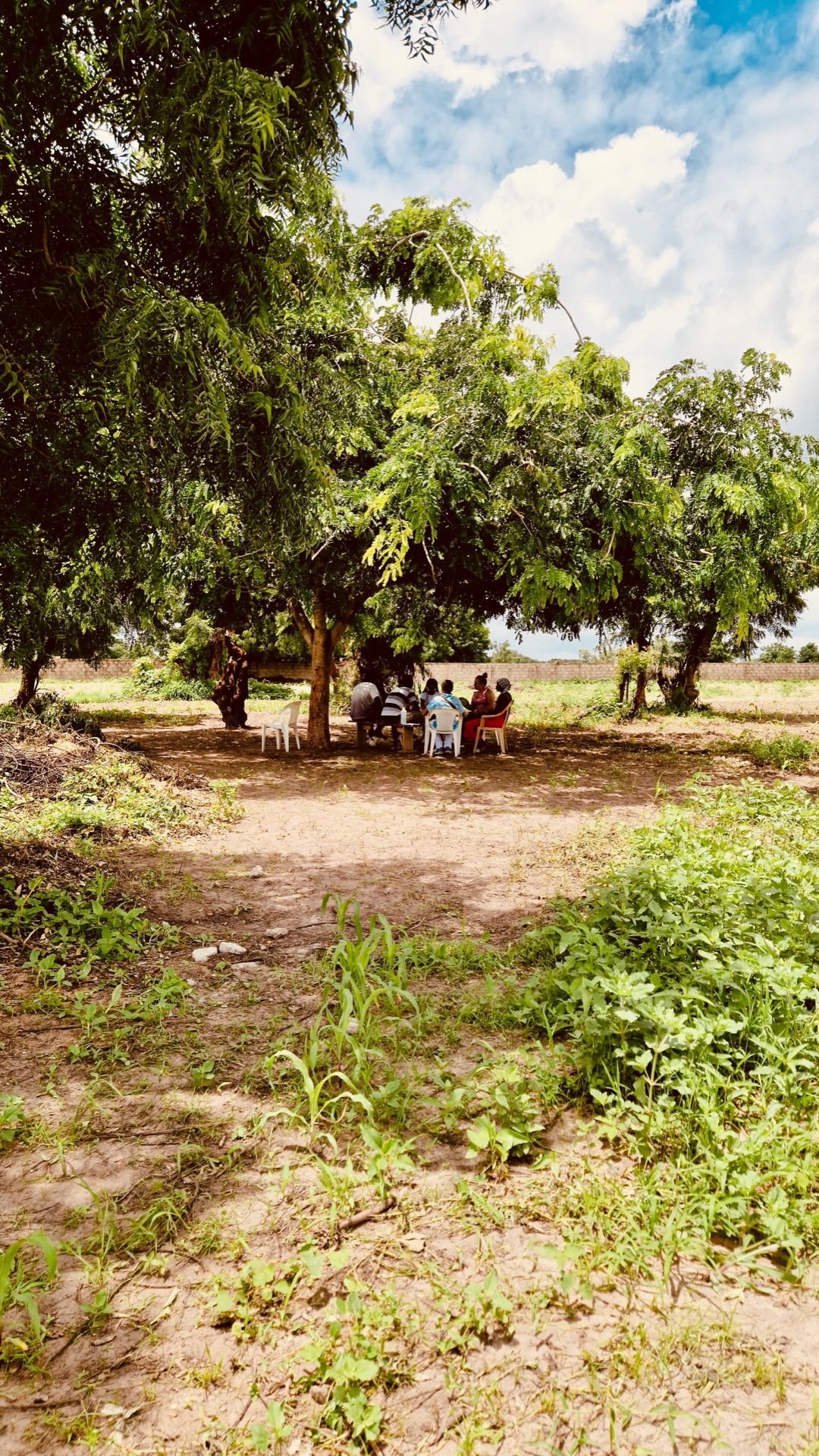 Discussion sous les arbres