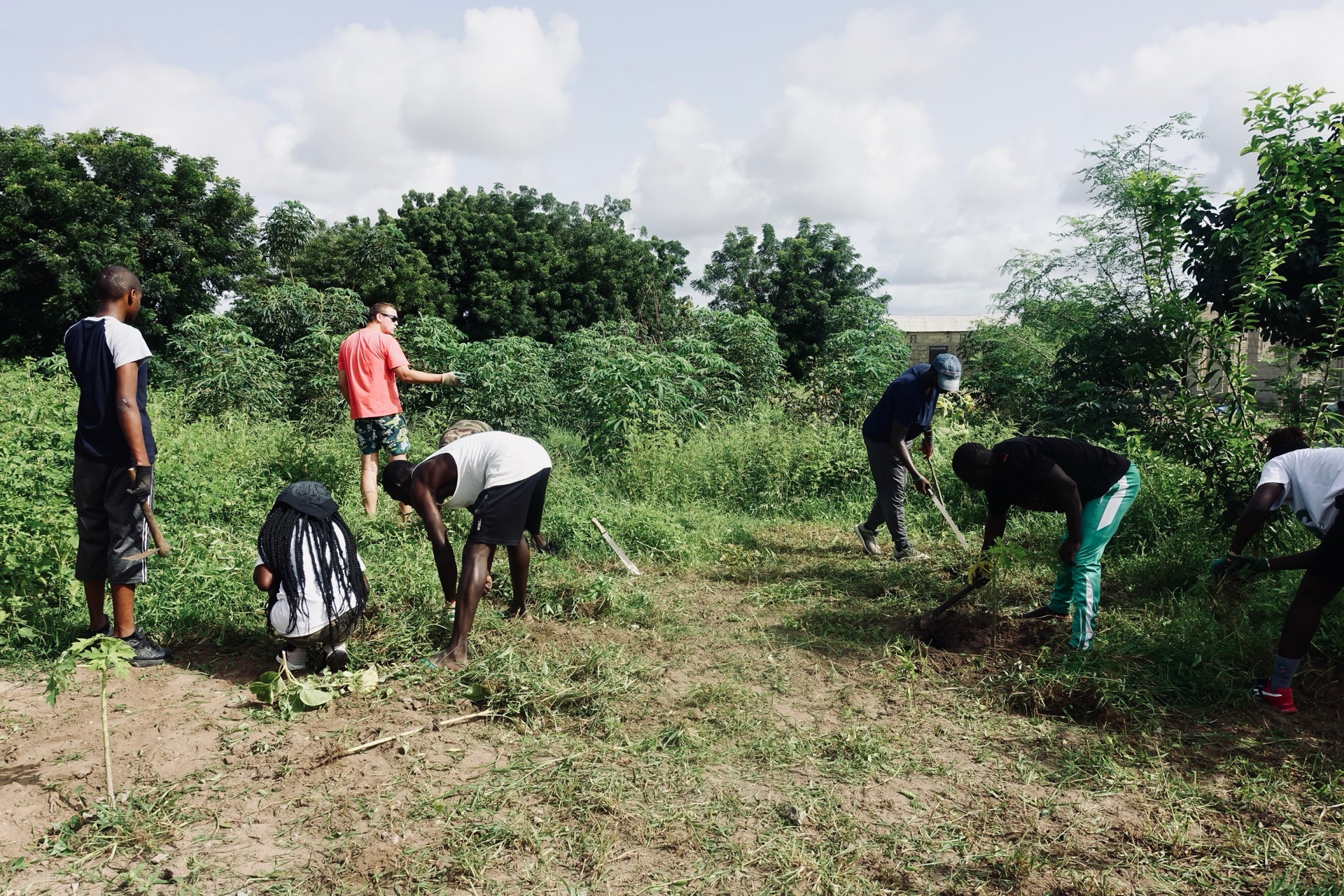 Travail au potager
