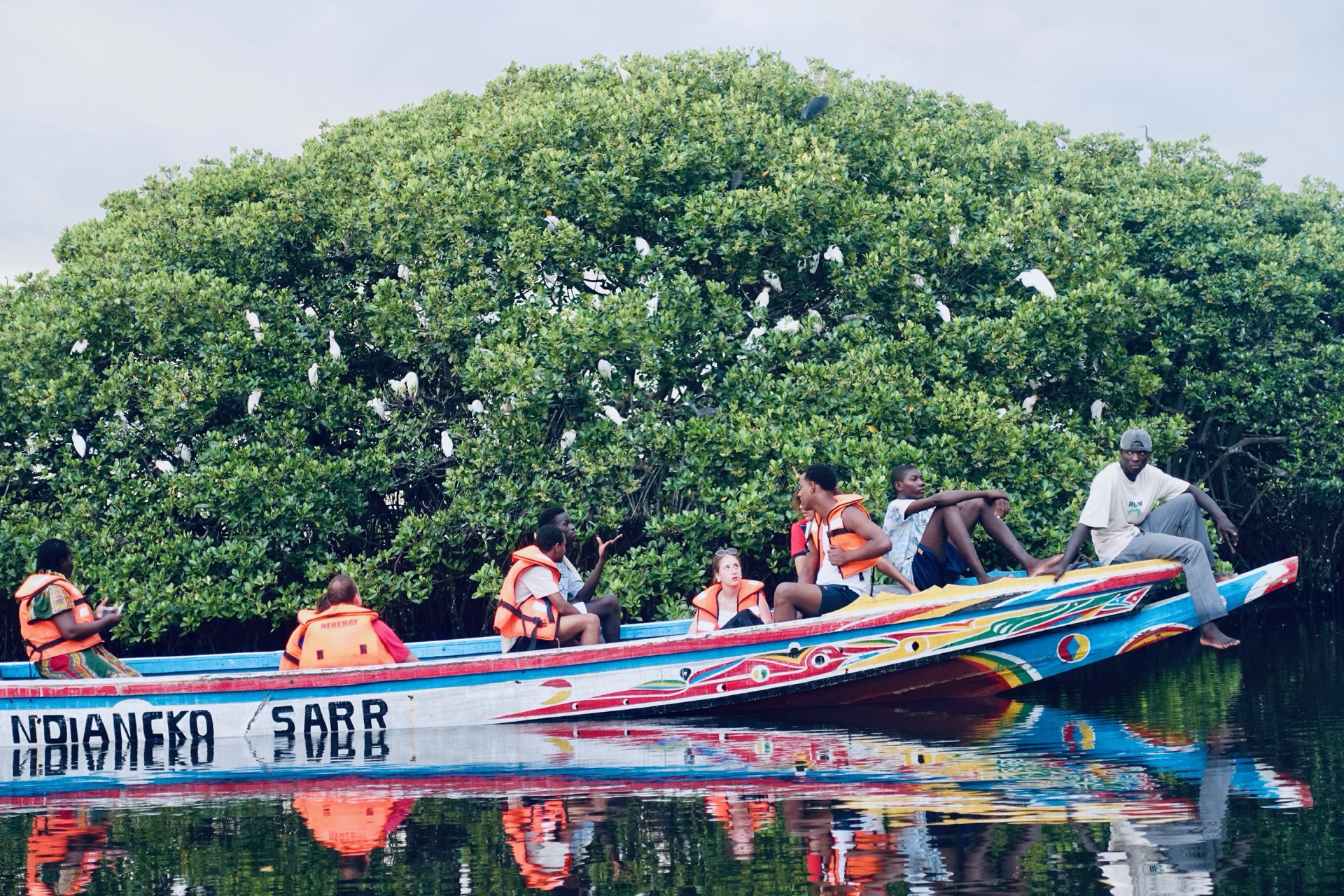 Pirogue dans les mangroves