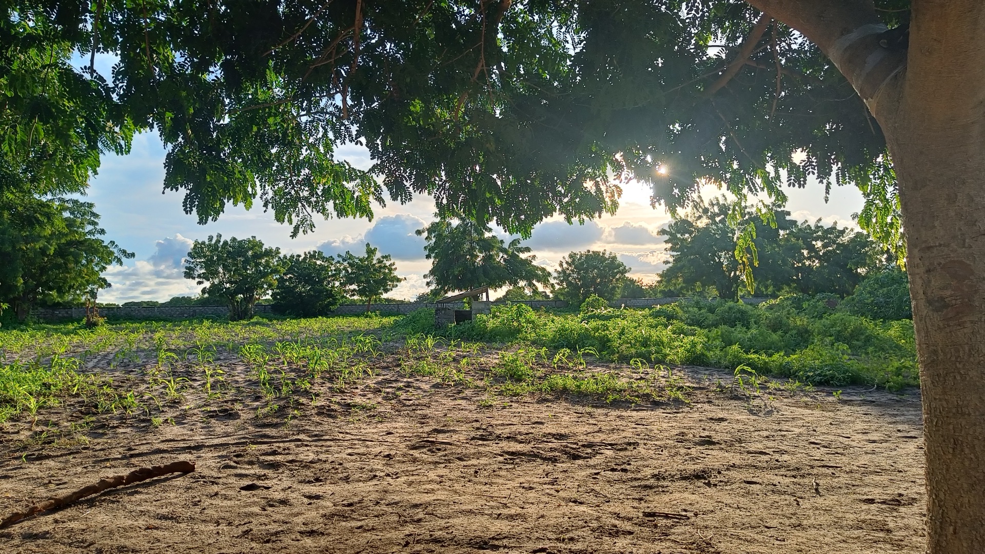 Coucher de soleil ferme